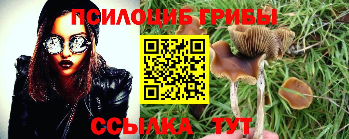 Ишимбай  Галлюциногенные грибы Magic Shrooms  Вход с VPN 