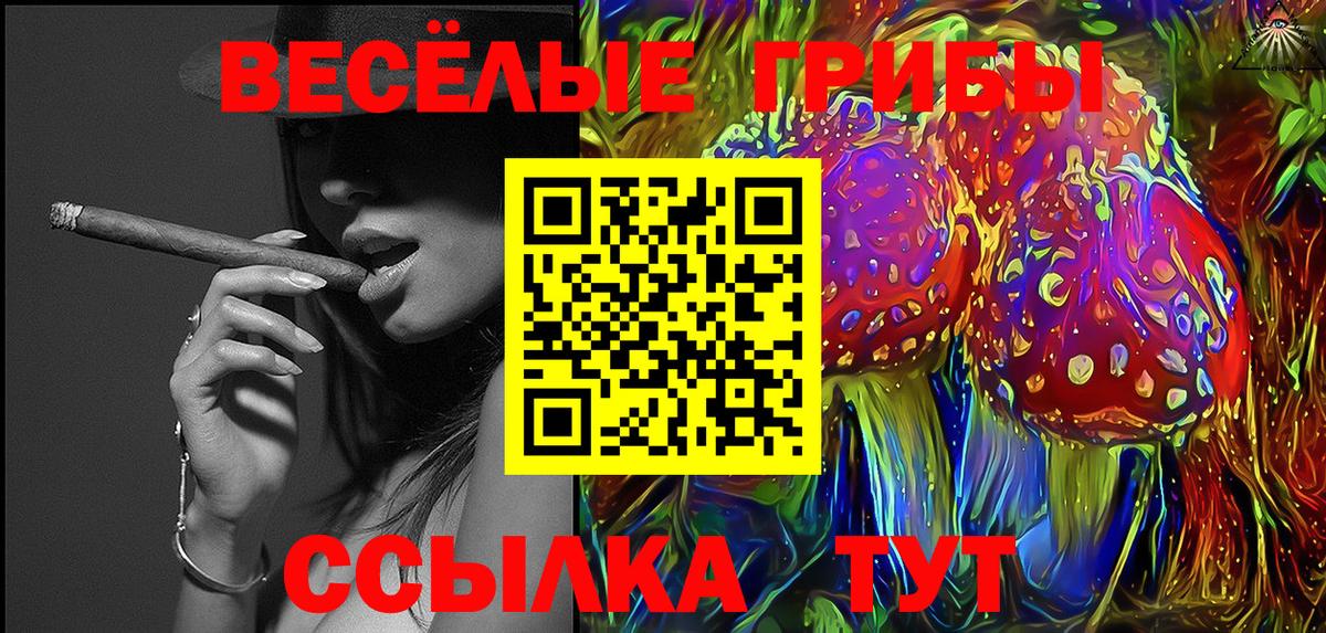 Псилоцибиновые грибы GOLDEN TEACHER Ишимбай